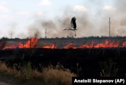 Лелека пролітає над палаючим полем у час масштабної російсько-української війни
