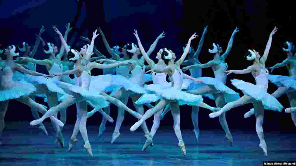 A balerina több mint öt éven át táncolta a legjobb balerinák számára is erőpróbának számító kettős főszerepet A hattyúk tavában hazai társulatával Ukrajnában, Kínában és Japánban