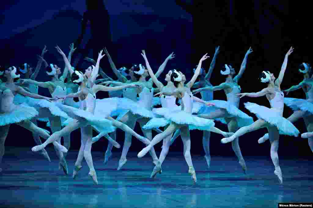 Ballet dancers perform during a dress rehearsal of the Swan Lake ballet at the Hungarian State Opera in Budapest.