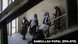 Афганським жінкам заборонено отримувати середню та вищу освіту, їм дозволяється працювати на дуже обмеженій кількості робіт