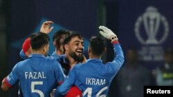 شادی راشد خان ستاره کریکت جهان و عضو تیم ملی کریکت افغانستان پس از گرفتن ویکت از تیم ملی کریکت انگلستان. 