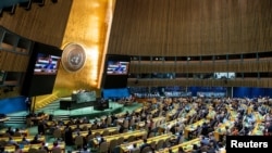 Заседание Генеральной Ассамблеи ООН, 12 декабря 2023 года. 