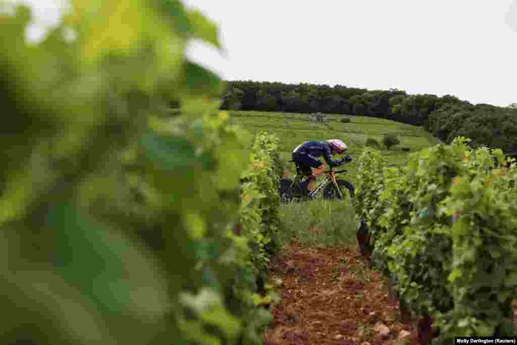 Biciklista među vinogradima dok prelazi 25 kilometara dugu stazu sedme etape.