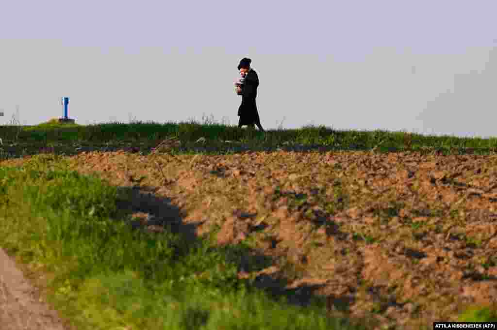 Jewish pilgrims walk to the grave of Rabbi Steiner. This year&#39;s pilgrimage marks the 98th anniversary of the death of Rabbi Steiner, revered for his knowledge of Jewish mysticism.