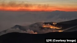 Илустрација