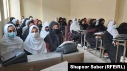 شماری از دختران دانش آموز در ولایت هرات