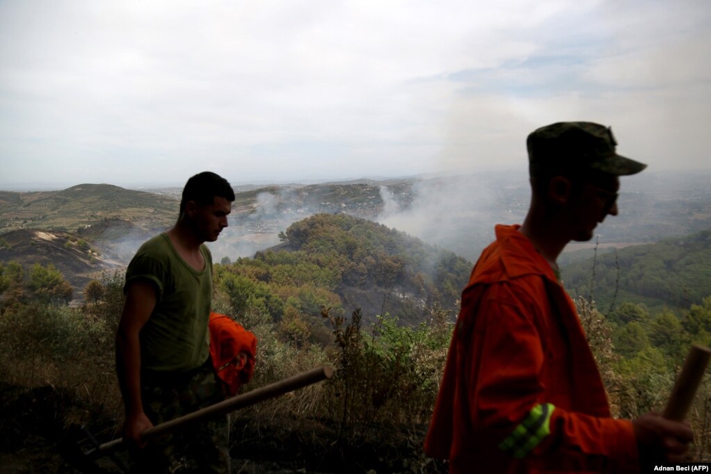 Zjarrfikësit në një zonë pyjore, në fshatin Kraps, në Qarkun e Fierit.