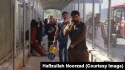 مقام های طالبان در نیمروز می گویند که روزانه حدود 2500 افغان به کشور خود بر می گردند.
