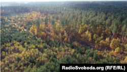 Ділянка під Національне військове меморіальне кладовище. Гатненська громада, Фастівський район, Київська область. 24 жовтня 2023 року