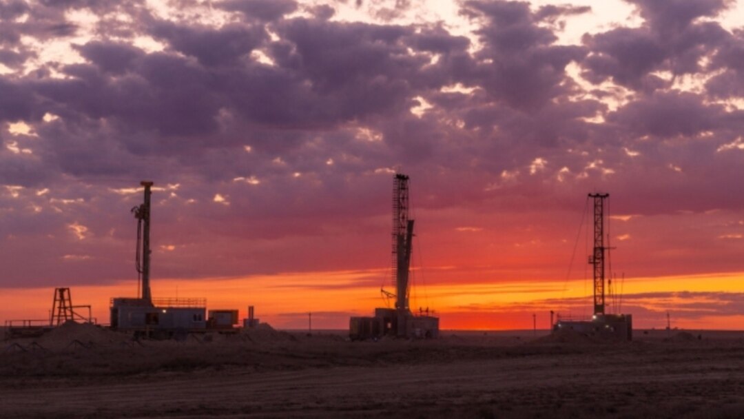 Операциядан кейінгі транни бейнелері Беларусь жезөкшелері