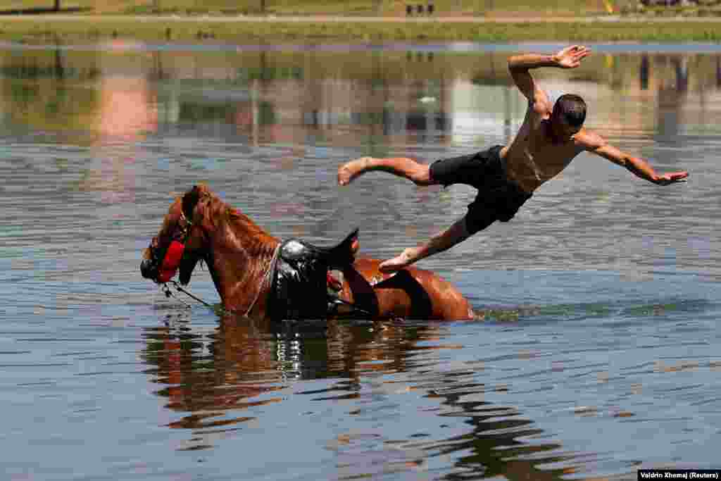 Muškarac skače sa konja u rijeku Ibar tokom vrelog dana u Mitrovici, Kosovo.