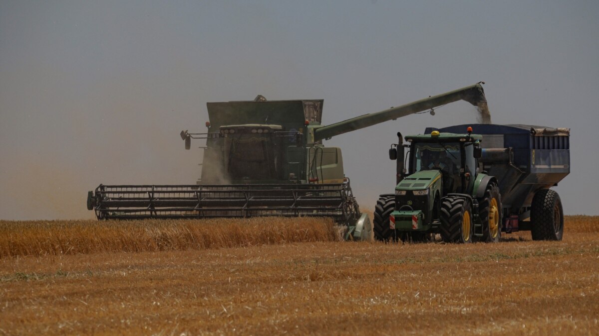Central European Countries Urge EU To Check Ukraine Grain 'Solidarity Corridors' - Vimarsana News