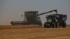 Шмигаль: Україна працює над розширенням коридорів для експорту зерна через Словаччину