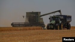 Наприкінці вересня міністр сільського господарства Микола Сольський повідомив, що Україна розробила процедуру верифікації експорту чотирьох агрокультур, відповідно до рішення Єврокомісії