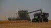 Словаччина та Україна погодили систему торгівлі зерном замість заборони – словацьке міністерство