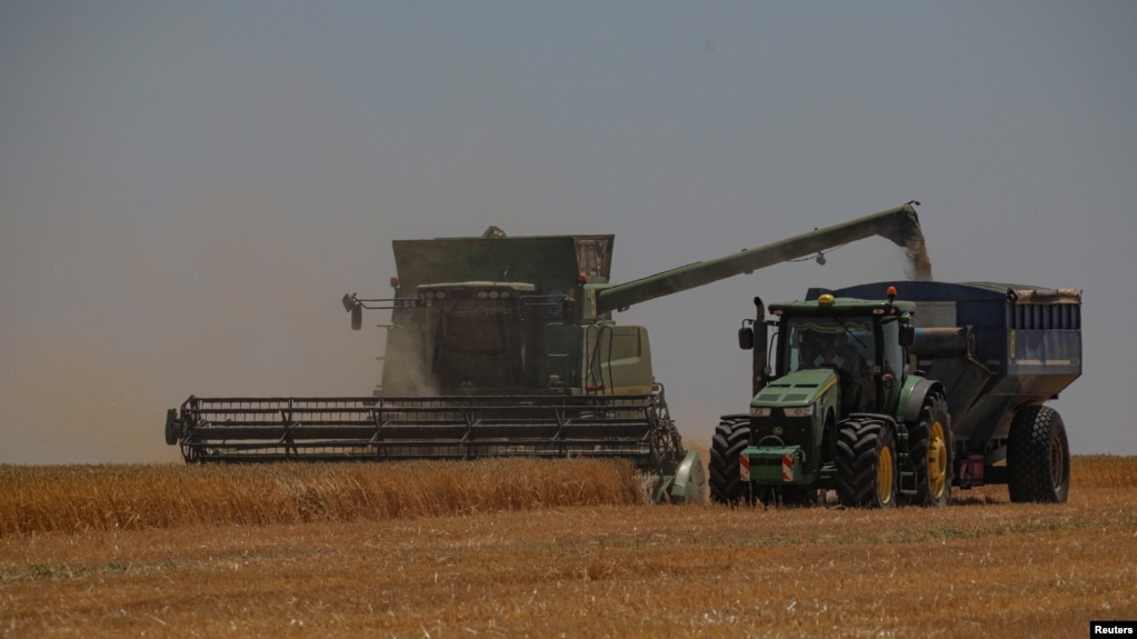 Фермери в окупації змушені працювати у невигідних для себе умовах