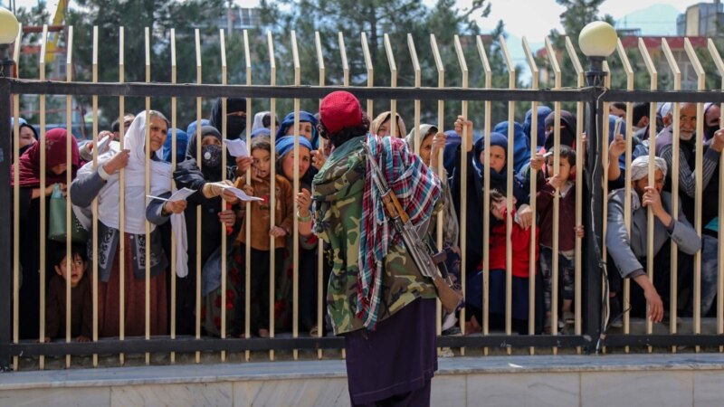 Суд в Краснодаре отказал в убежище беженцам из Афганистана, признав страну безопасной