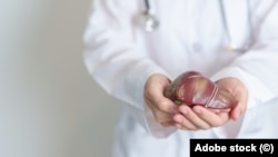 Иллюстрациялык сүрөт