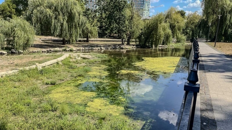 В Симферополе продолжает заростать Салгир (фото)