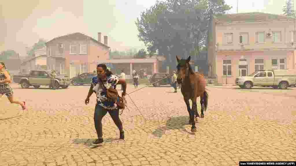 A woman tries to evacuate a horse after a wildfire swept through the village of Voden in southeastern Bulgaria on July 17.