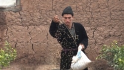 'We Must Protect Nature': Tajik Farmer Saves Birds From Deadly Frost