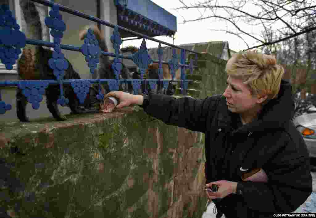 Svitlana is another volunteer who cares for the abandoned animals.