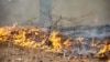 ДСНС: 5 лісових пожеж, спричинених російською агресією, тривають на Харківщині