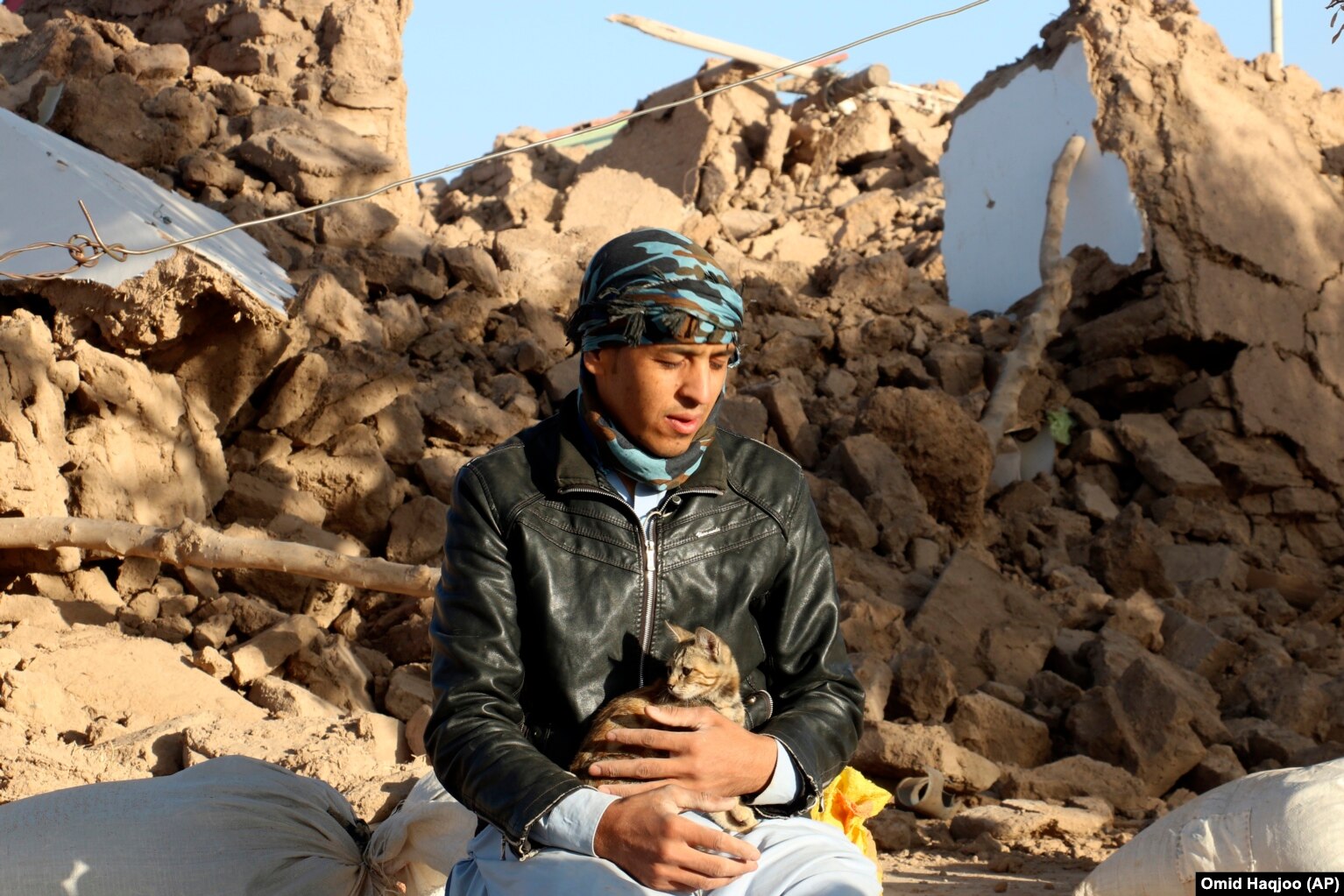 &nbsp;An Afghan youth holds his cat as he sits in a courtyard of his destroyed home. Mullah Janan Sayeeq, a spokesman for the Taliban&#39;s Ministry of Disasters, told a news conference that 2,440 people were dead, about 10,000 were injured, and that more than 2,000 houses had been damaged or destroyed.&nbsp;Afghanistan&#39;s disaster agency said on October 8 that 2,053 people had been killed. Neither estimate could be independently confirmed.
