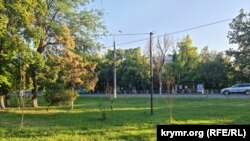 Сухие деревца в районе Москольца Симферополя, август 2023 года