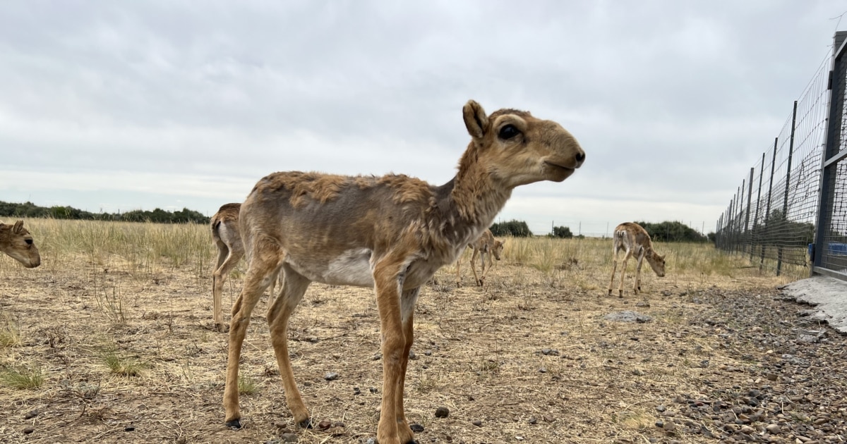 Киінетін бөлмедегі жалаңаш сұлу қыздың фотосы