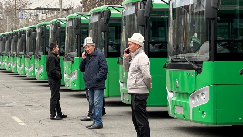 Ош мэриясы Өзбекстандан 100 даана автобус сатып алды 