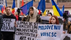 Socialiștii și comuniștii au sărit în apărarea „limbii moldovenești”
