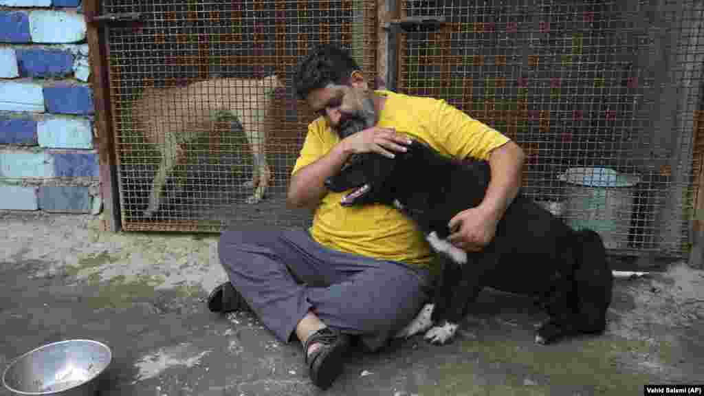 Szajed Mahdi Tabatabaej síita lelkész egy sérült kutyát simogat a Teherántól százhuszonöt kilométerre fekvő Kom város melletti menhelyén május 21-én. Tabatabaejnek több mint nyolcvanezer követője van&nbsp;&nbsp;Instagramon, ahol szívszorító történeteket oszt meg a menhelyén kezelt, korábban bántalmazott és elhanyagolt kutyákról