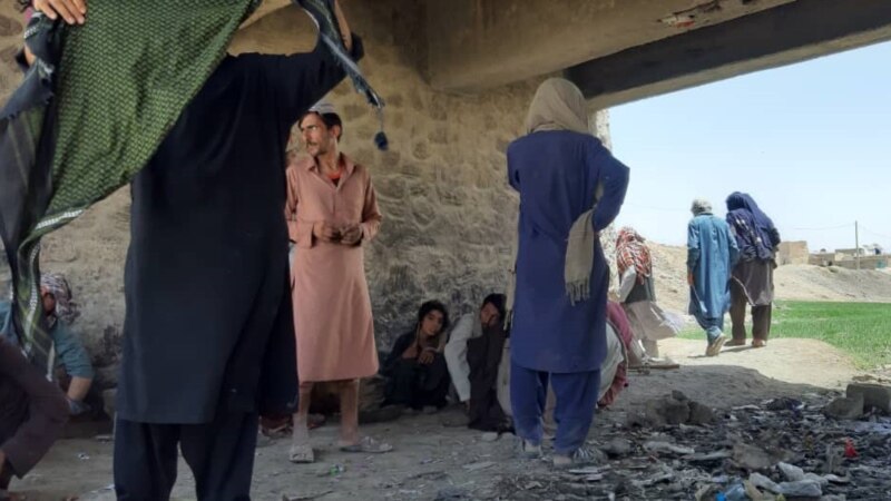 ملګري ملتونه: له هرو درېیو افغان کورنیو یوه یې له مخدره توکو اغېزمنه ده