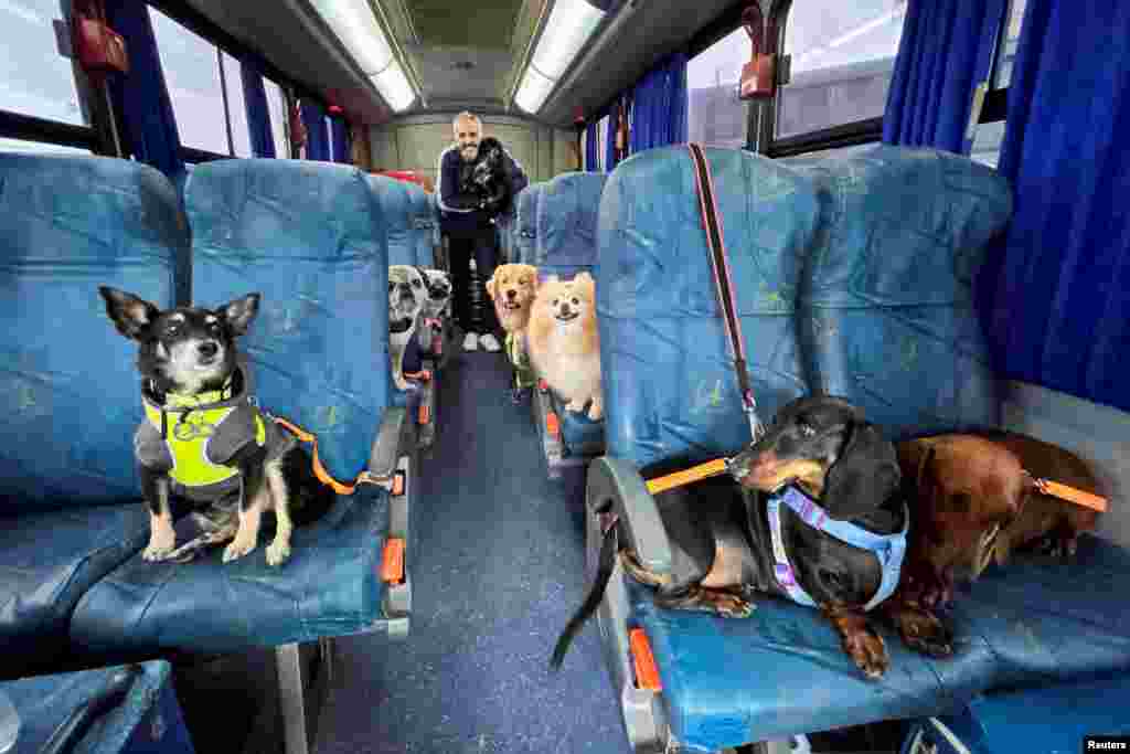 Trener i donator&nbsp;Andre Bressan pozira za fotografiju sa psima koji se prevoze u autobusu &quot;Escaolar&quot;, uz muziku i klima uređaj, u vrtić za pse u Icari, savezna država Santa Catarina, Brazil, 2. novembra.