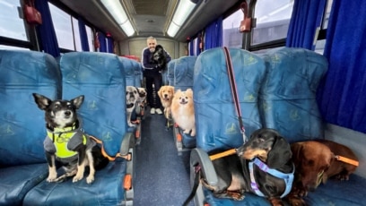 Trener i donator Andre Bressan pozira za fotografiju sa psima koji se prevoze u autobusu "Escaolar", uz muziku i klima uređaj, u vrtić za pse u Icari, savezna država Santa Catarina, Brazil, 2. novembra.