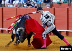Španski matador Pablo Aguado tokom borbe s bikom u areni u Sevilji, Španija, 18. septembra 2021.