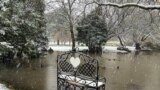 &laquo;Лавка закоханих&raquo; посеред води