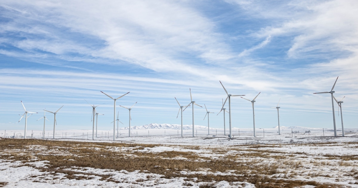 Үлкен шарлар және көптеген сперма бейнелері