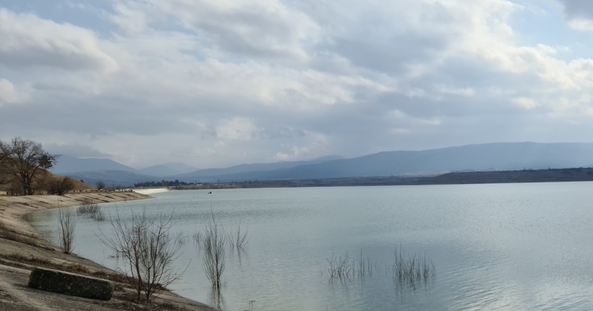 Лаура ренжіді