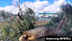 Последствия шторма в Керчи, 27 ноября 2023 года