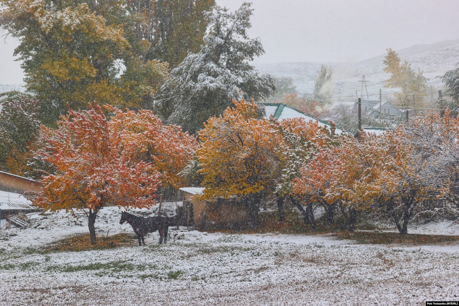 Снегопад в Алматинской области. 14 октября 2023 года.