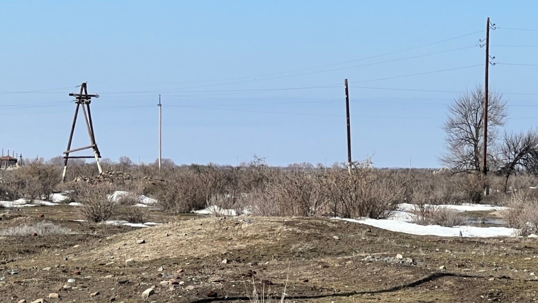 Tara Raid порно тұсқағаздар