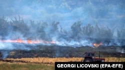 Lokalni volonteri pomažu da se požar stavi pod kontrolu u blizini sela Dolno Gjugjance, Sjeverna Makedonija, 1. avgusta 2024.