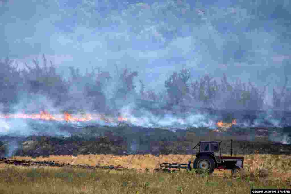 Local volunteers help to get a fire under control close to the village of Gjugjantse, near Sveti Nikole, in North Macedonia. North Macedonia is suffering from uncontrolled forest fires across the country.