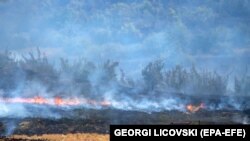 Vullnetarët lokalë ndihmojnë në shuarjen e zjarrit pranë fshatit Dolno Gjugjancë, Maqedonia e Veriut, më 1 gusht 2024.
