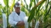 Moldova, Corn hybrids that can withstand increasing droughts and yield as much as possible