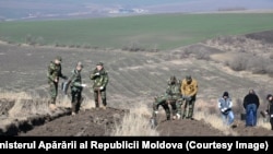 Peste 100 de militari din garnizoana Chișinău au plantat puieți de salcâm pe o suprafață de peste 11 hectare, în raionul Hâncești, satul Pervomaisc, 10 martie 2024.