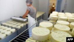 საილუსტრაციო ფოტო არ ასახავს საქართველოში მოქმედ არცერთ რძის საწარმოს. 