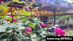 Пошкоджені заморозком бутони троянд у Гагарінському парку Сімферополя